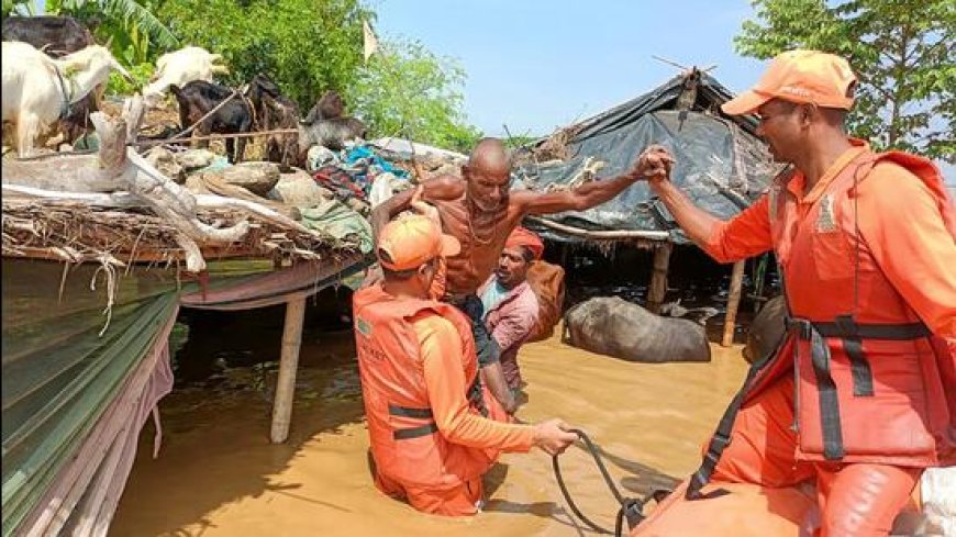 ১৬ লক্ষ মানুষ বন্যায় প্রভাবিত, বিহার সরকারের বন্যা সতর্কতা জারি