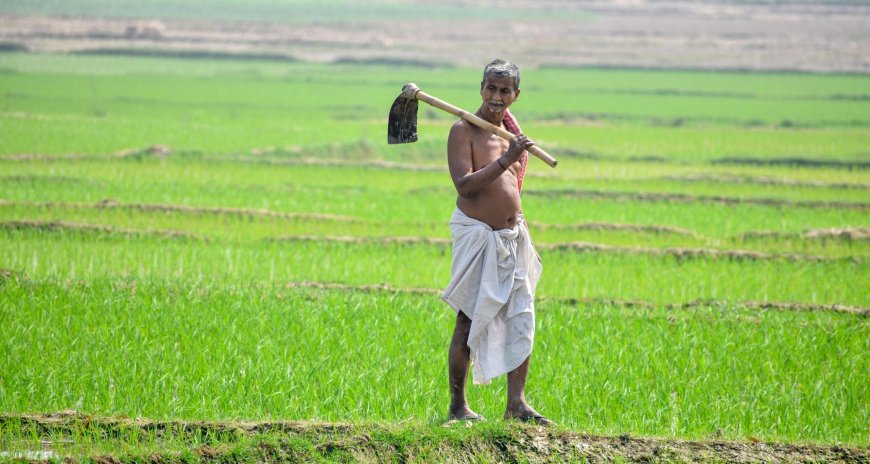 আগে মাটির স্বাস্থ্য পরীক্ষা, তারপর চাষ , বাঁচবে খরচ