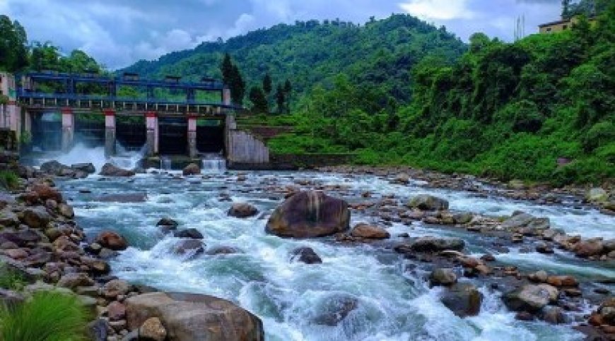 চলুন পাড়ি দিয়ে আসি অচেনা ডুয়ার্স, ভালো লাগতে বাধ্য